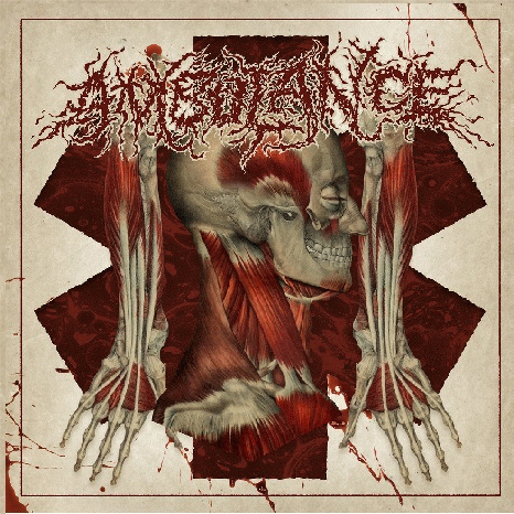 Ambulance : Introduction of the Horrendous Pathological Practices